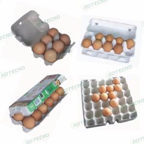 Egg Carton Box Mould