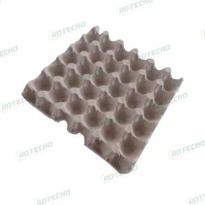 30 Holes Egg Tray Mould